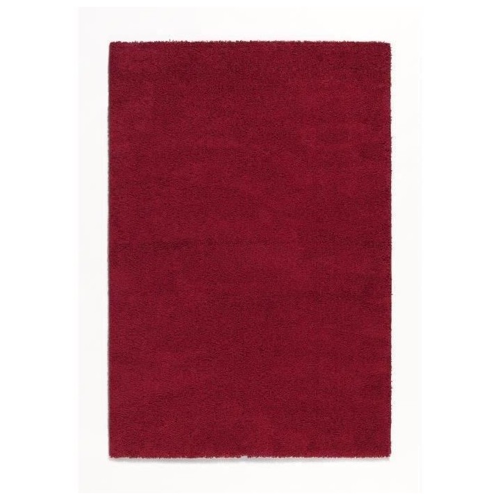 NAZAR TRENDY Tapis de salon Shaggy en polypropylene - 120 x 160 cm - R