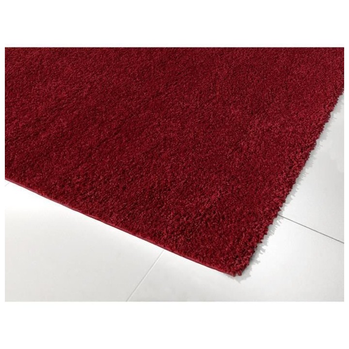 NAZAR TRENDY Tapis de salon Shaggy en polypropylene - 120 x 160 cm - R