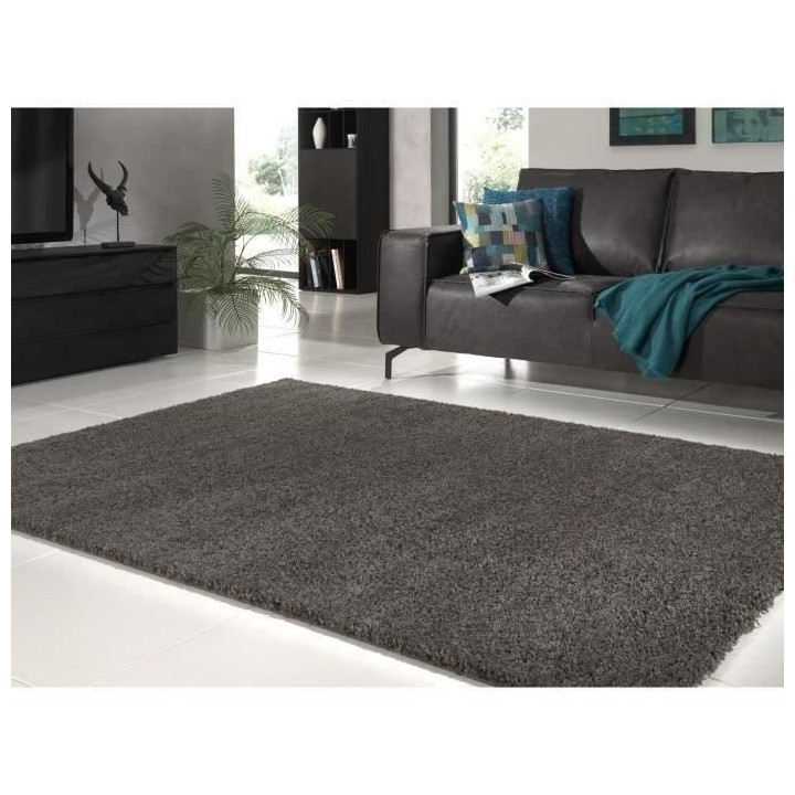 NAZAR TRENDY Tapis de salon Shaggy en polypropylene - Gris anthracite