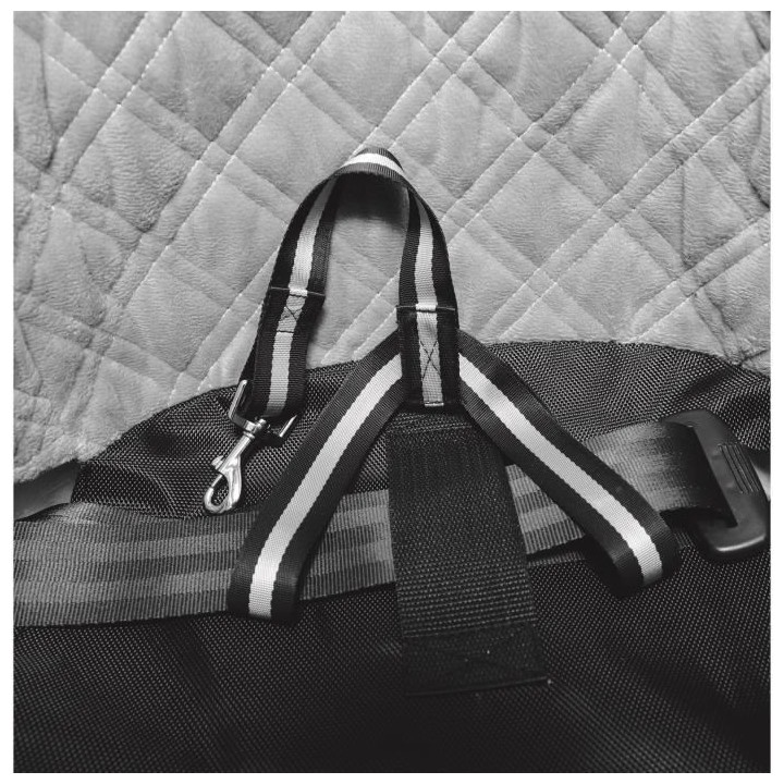 TRIXIE Siege de voiture - 45x39x42cm - Noir et gris - Pour chien