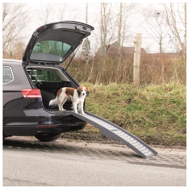 TRIXIE Rampe - 39 x 150 cm - Plastique - Repliable en 3 parties - Gris