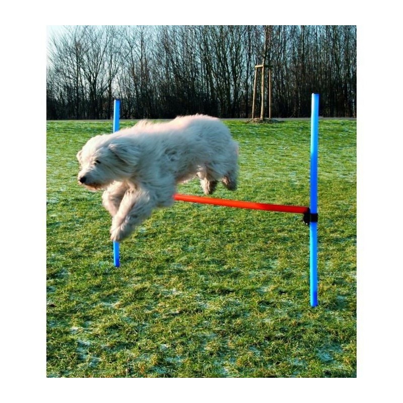 TRIXIE Obstacle de saut 123x115 cm Plastique