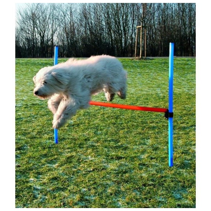 TRIXIE Obstacle de saut 123x115 cm Plastique