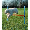 TRIXIE Obstacle de saut 123x115 cm Plastique