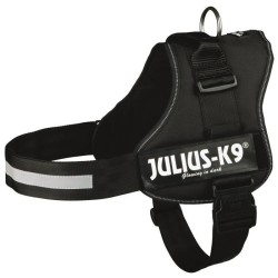 Harnais Power Julius-K9 - 3...