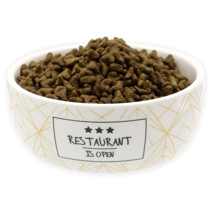 TYROL Gamelle en céramique 12 cm - 250 ml - Blanc et moutarde - Pour