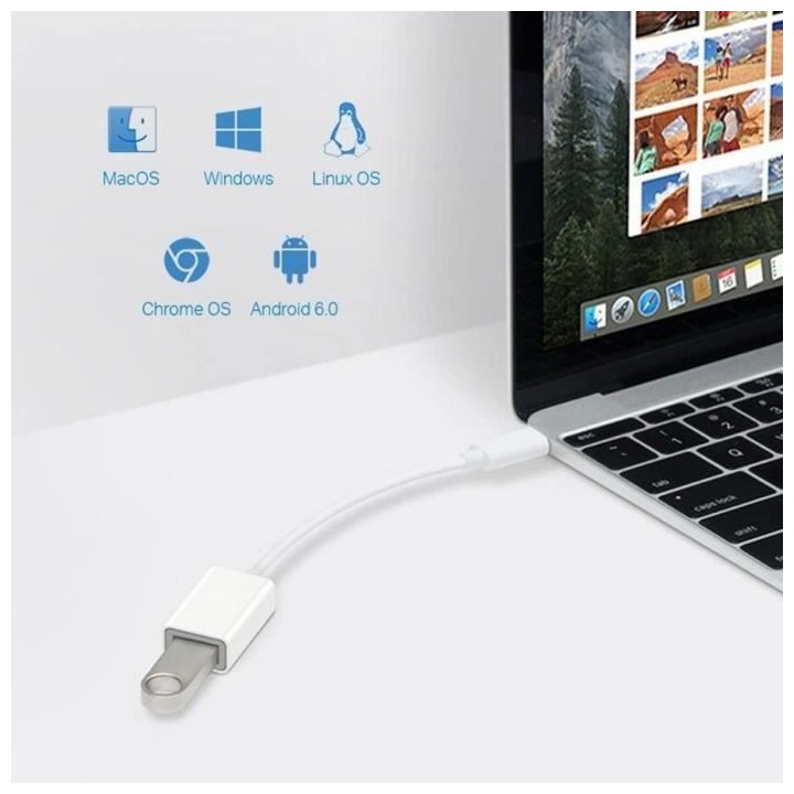 Adaptateur USB 3.0 type-C vers USB type-A - TP-LINK - Compatible Windo