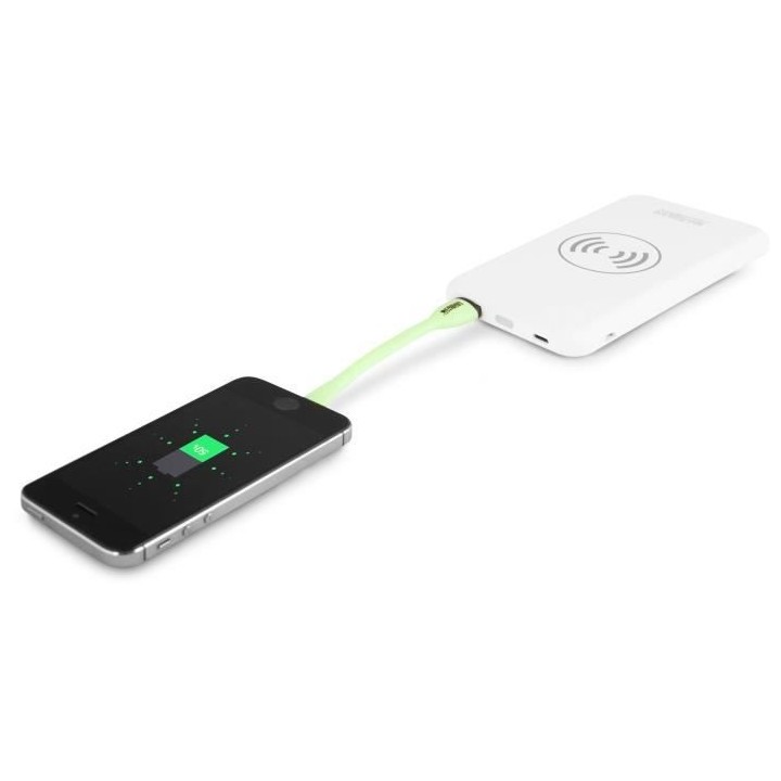 URBAN FACTORY QI induction Powerbank sans fil - Câble micro USB