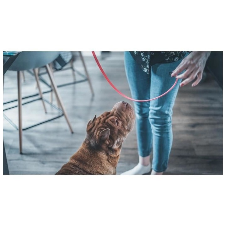 VETOCANIS Collier Anti-Puces et Anti-Tiques pour Grand Chien, longue d