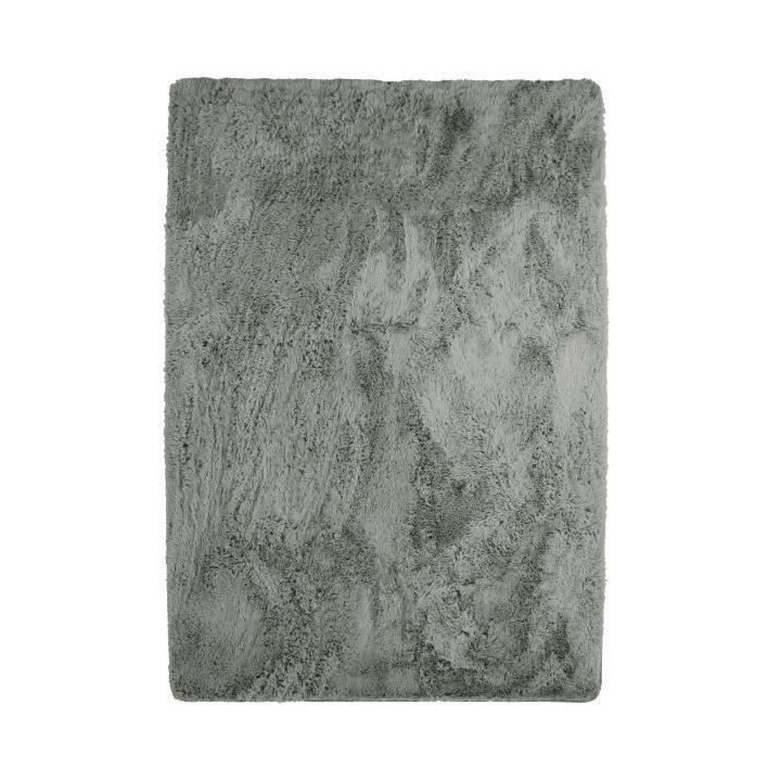 NEO YOGA Tapis de salon ou chambre - Microfibre extra doux - 190 x 290