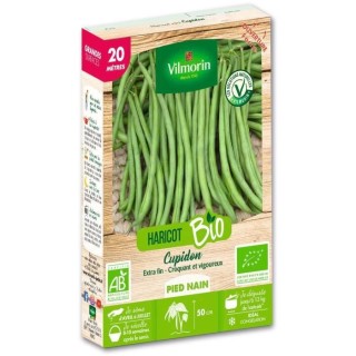 Haricot nain vert sans fil Cupidon bio 20m Vilmorin