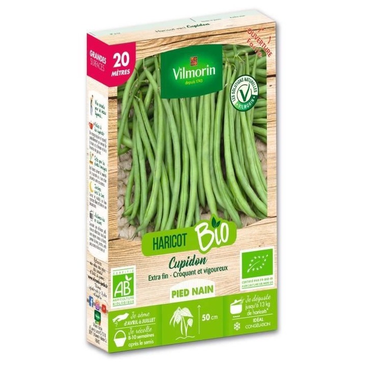 Haricot nain vert sans fil Cupidon bio 20m Vilmorin