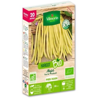 Haricot nain mangetout beurre major bio 20m Vilmorin
