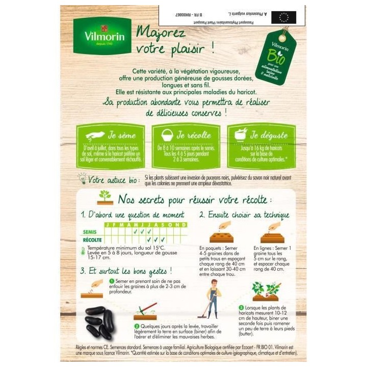 Haricot nain mangetout beurre major bio 20m Vilmorin