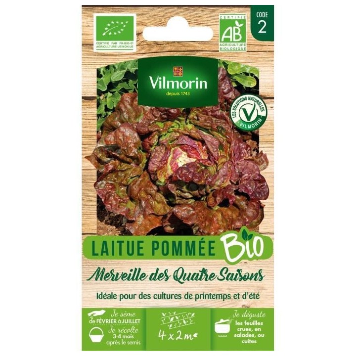 Laitue pommée merveille des 4 saisons bio Vilmorin