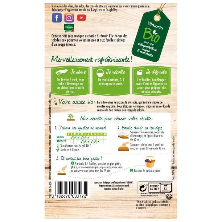 Laitue pommée merveille des 4 saisons bio Vilmorin