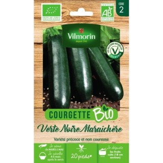 Courgette verte noire maraichere bio Vilmorin