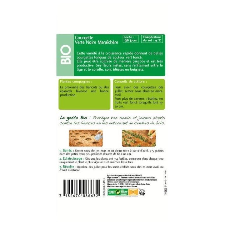 Courgette verte noire maraichere bio Vilmorin