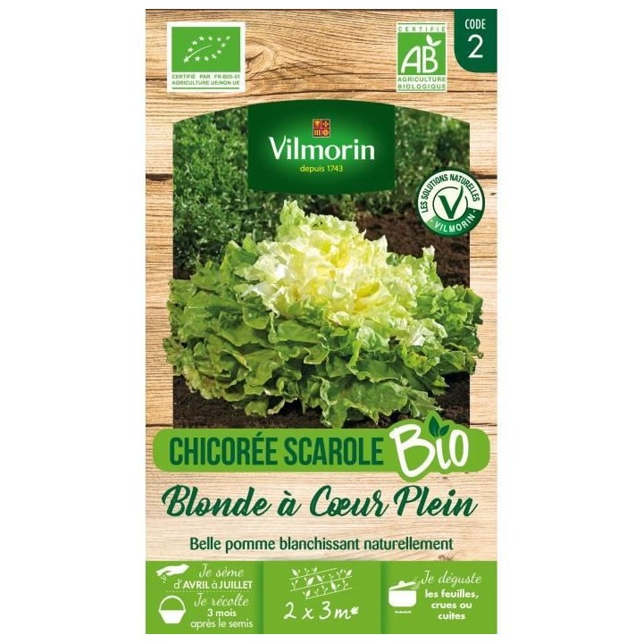 Chicorée scarole blonde a coeur plein bio Vilmorin