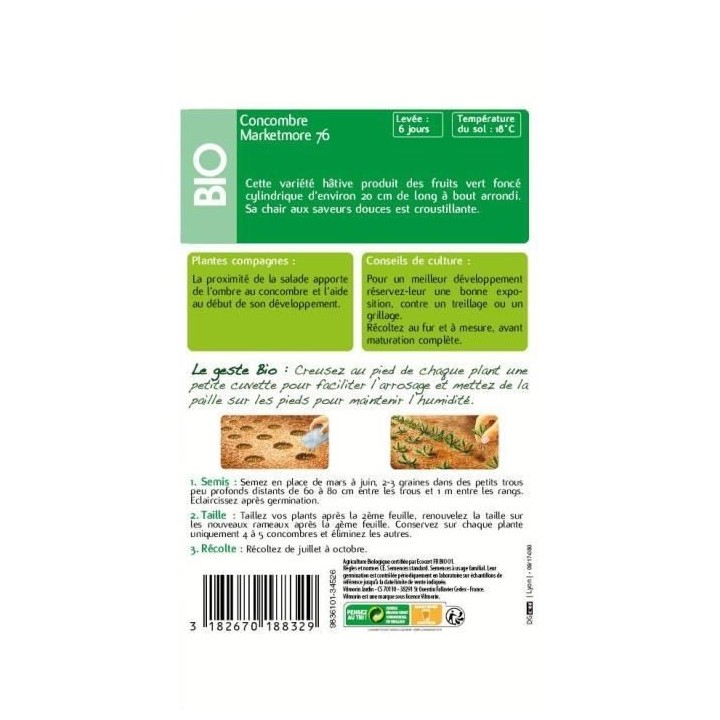 Concombre Marketmore 76 bio Vilmorin