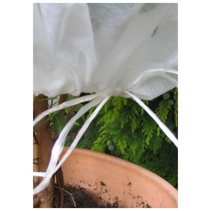 VILMORIN Lot de 5 housses d'hivernage 30g/m² - 0,80 x 0,80m - Blanc