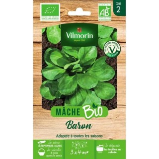 Mâche baron bio Vilmorin