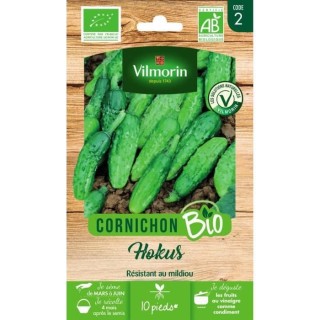Cornichon kokus bio f1 Vilmorin
