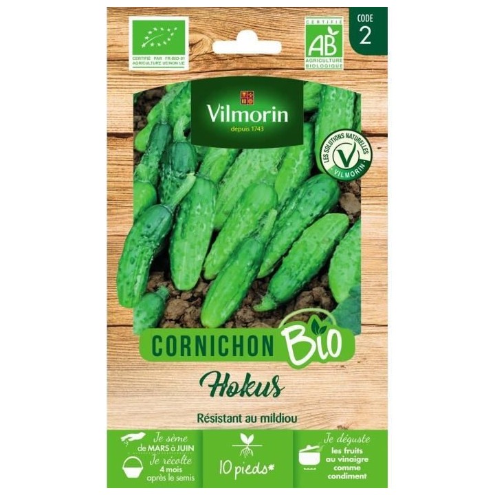 Cornichon kokus bio f1 Vilmorin