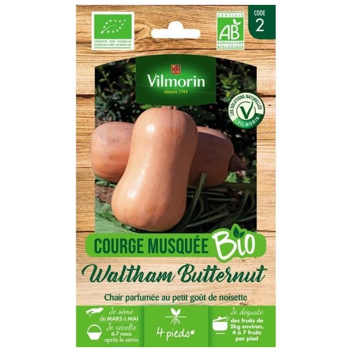 Courge musquée Waltham Butternut bio Vilmorin