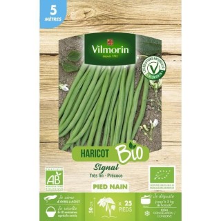 Haricot nain filet sans fil signal bio 5M Vilmorin