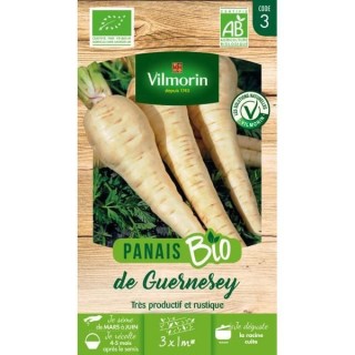 Panais de Guernesey bio Vilmorin