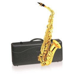 DELSON Saxophone Alto en...