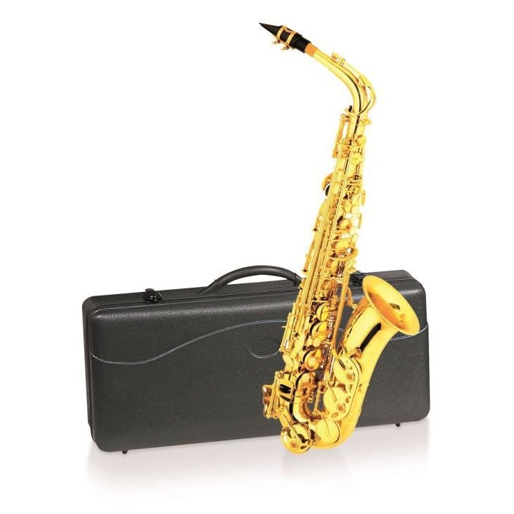 DELSON Saxophone Alto en mi-bémol