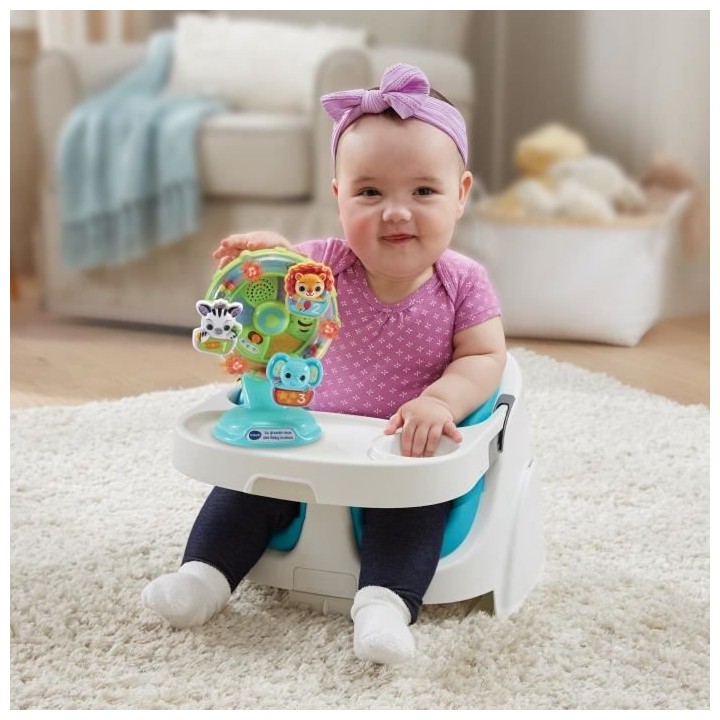 VTECH BABY - La Grande Roue des Baby Loulous