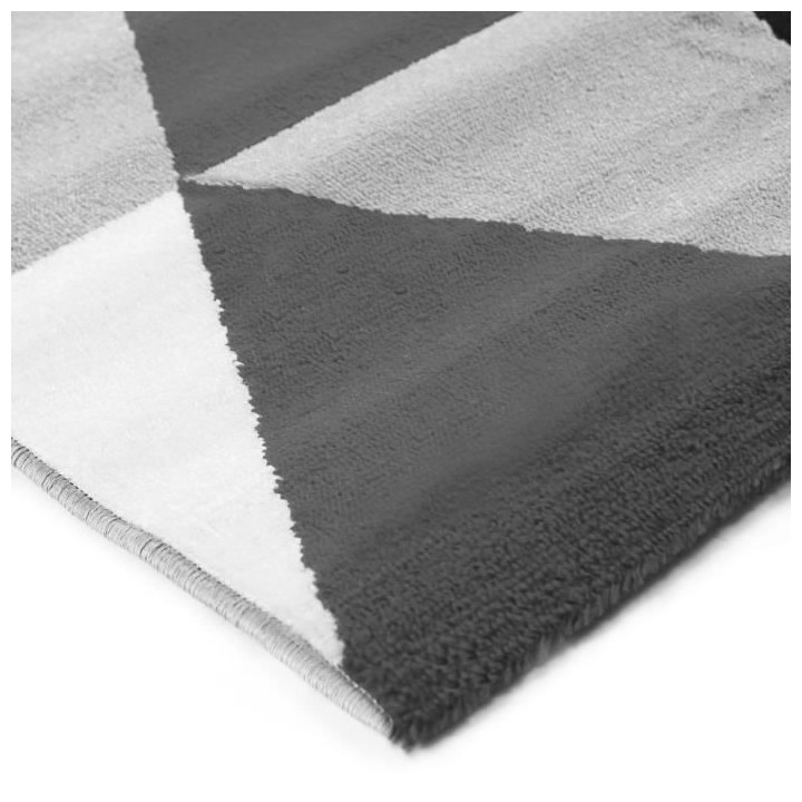 TAO SCANDI Tapis de salon - 190 x 290 cm - Polypropylene - Noir
