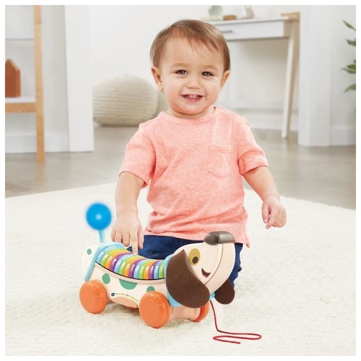 VTECH BABY - Mon Chien ABC Interactif (Jouet Bois FSC)