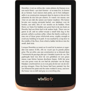 Liseuse numérique Vivlio Touch HD + Pack d'ebooks de plus de 8 Ebooks