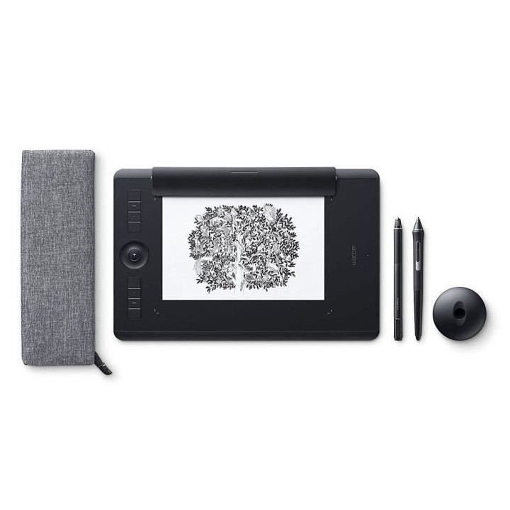 Wacom Tablette graphique Intuos Pro Paper Edition - Large