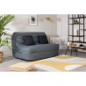 DUNLOPILLO Banquette BZ 2 places - Tissu Gris + 2 coussins noir - L 140 x P 99 x H 98 cm - ALICE - Made in France