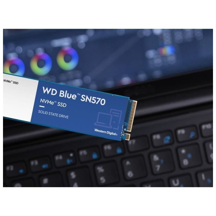Disque SSD Interne - WD - SN570 NVMe - 1TB - (WDS100T3B0C)