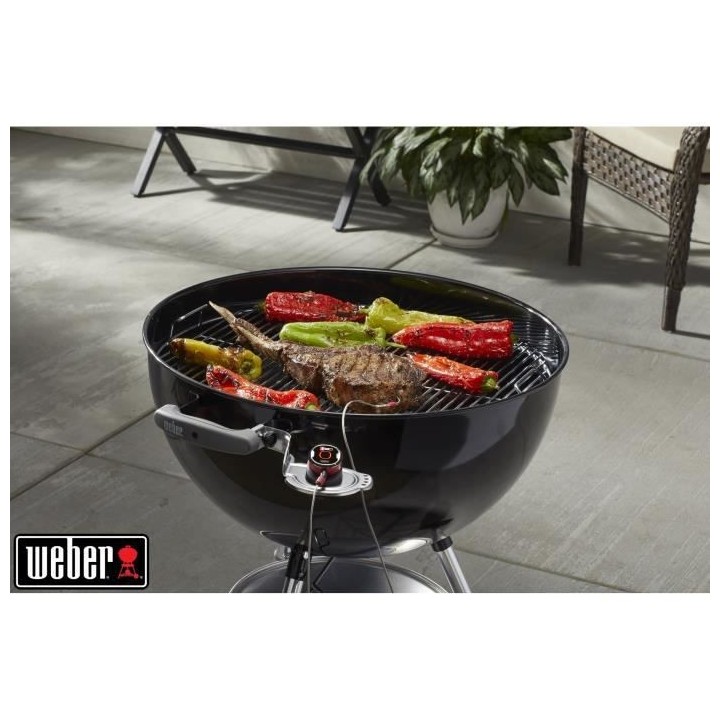 Support pour thermometre connecté WEBER iGrill