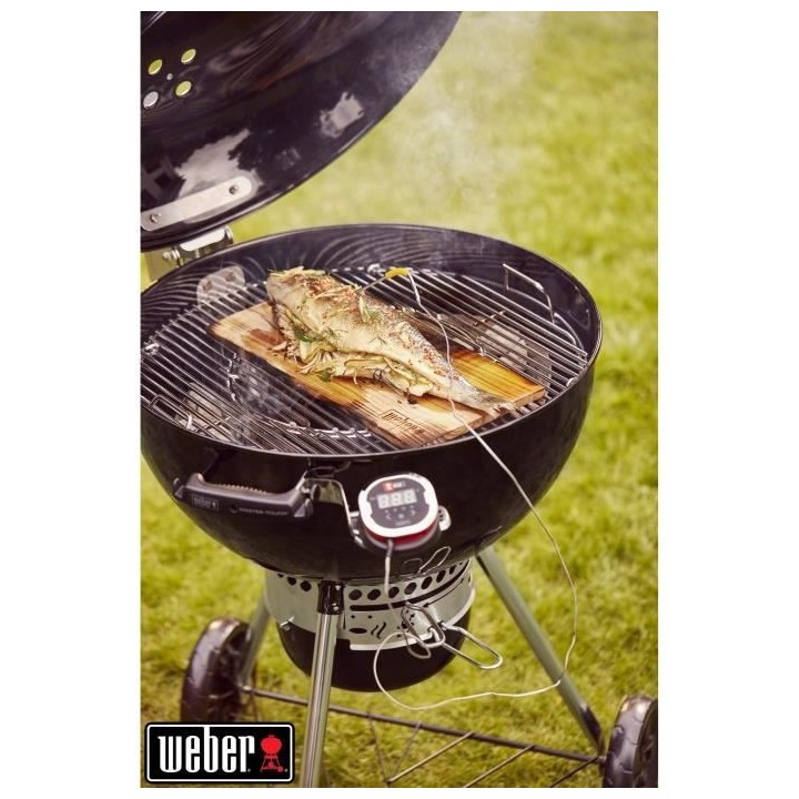 Support pour thermometre connecté WEBER iGrill