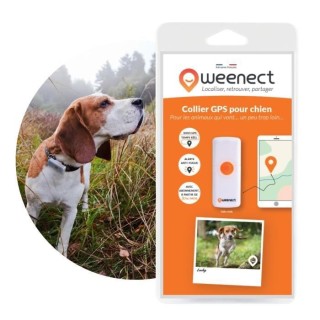Collier GPS pour chien – Weenect Dogs 2 - Suivi GPS en temps réel,