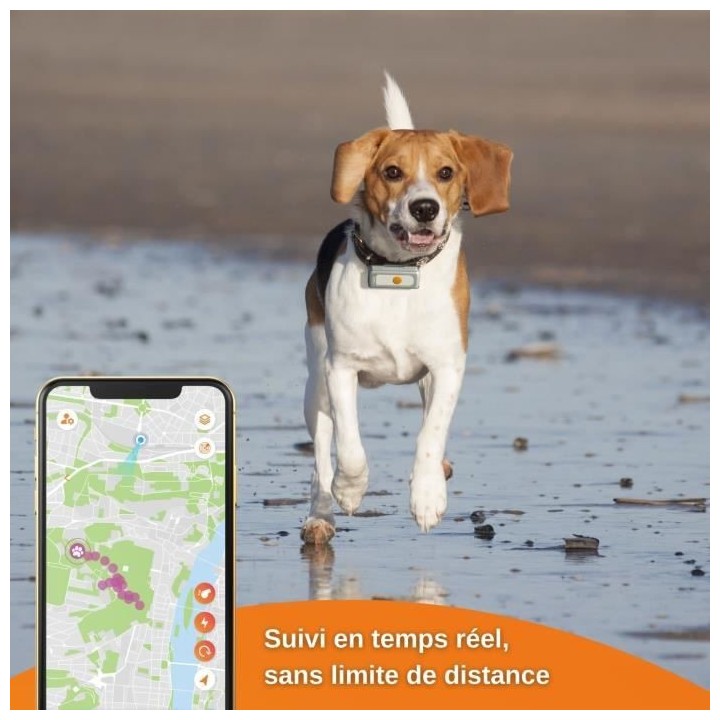 Collier GPS pour chien – Weenect Dogs 2 - Suivi GPS en temps réel,