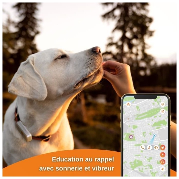 Collier GPS pour chien – Weenect Dogs 2 - Suivi GPS en temps réel,