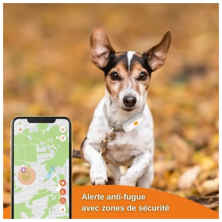 Collier GPS pour chien – Weenect Dogs 2 - Suivi GPS en temps réel,