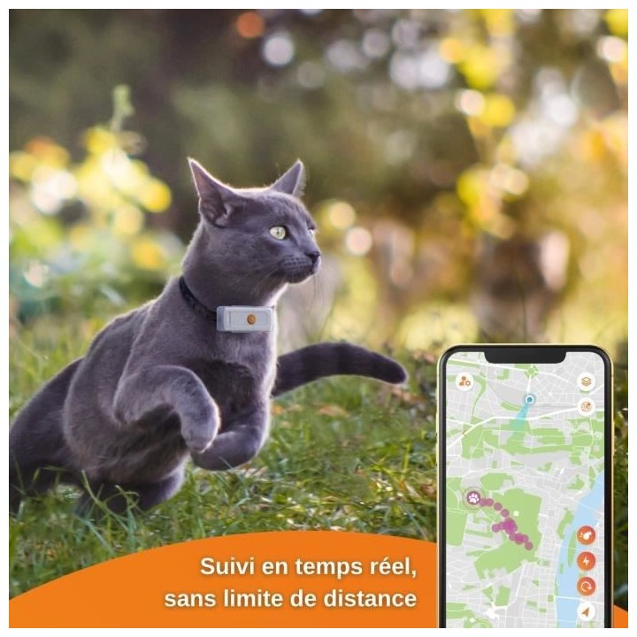 Collier GPS pour chat – Weenect Cats 2 - Suivi GPS en temps réel, S