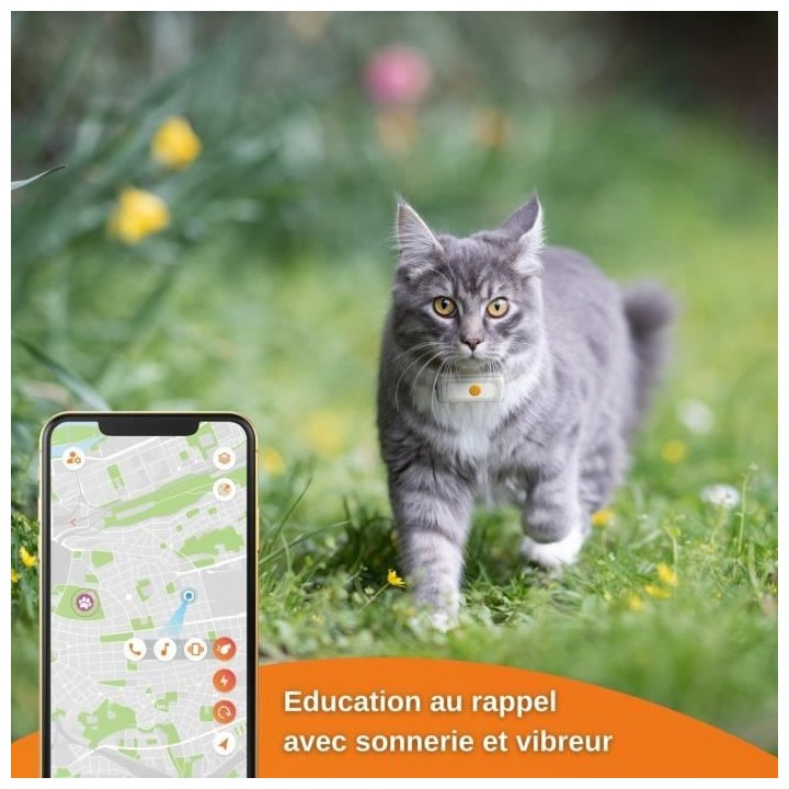 Collier GPS pour chat – Weenect Cats 2 - Suivi GPS en temps réel, S