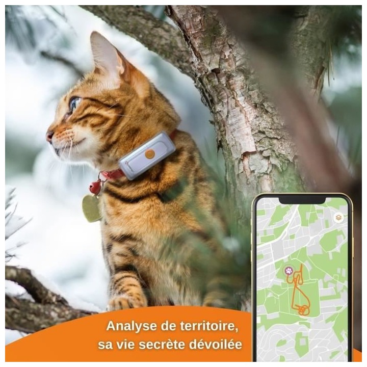 Collier GPS pour chat – Weenect Cats 2 - Suivi GPS en temps réel, S