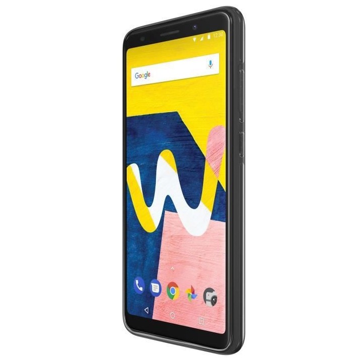 WIko Soft Case Lenny 5